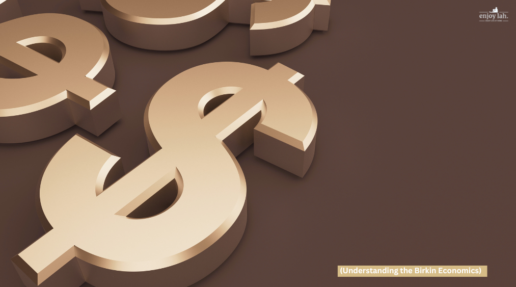 understanding birkin economics