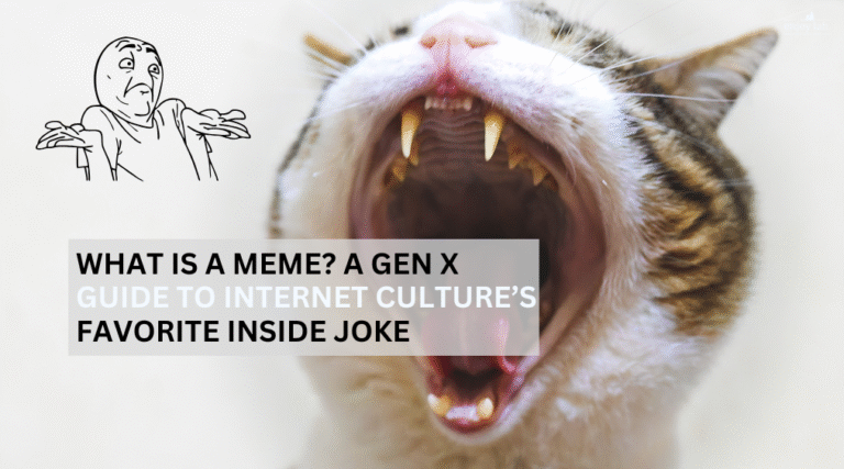 what is a meme