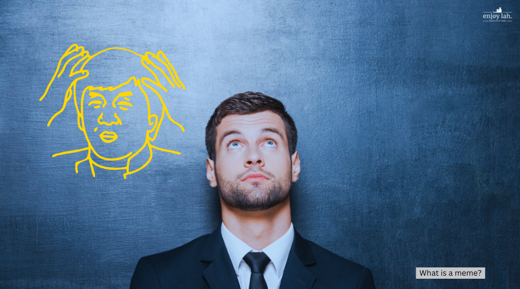 definition of a meme