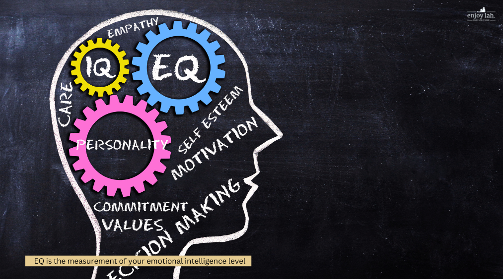 EQ is the measurement of your emotional intelligence level